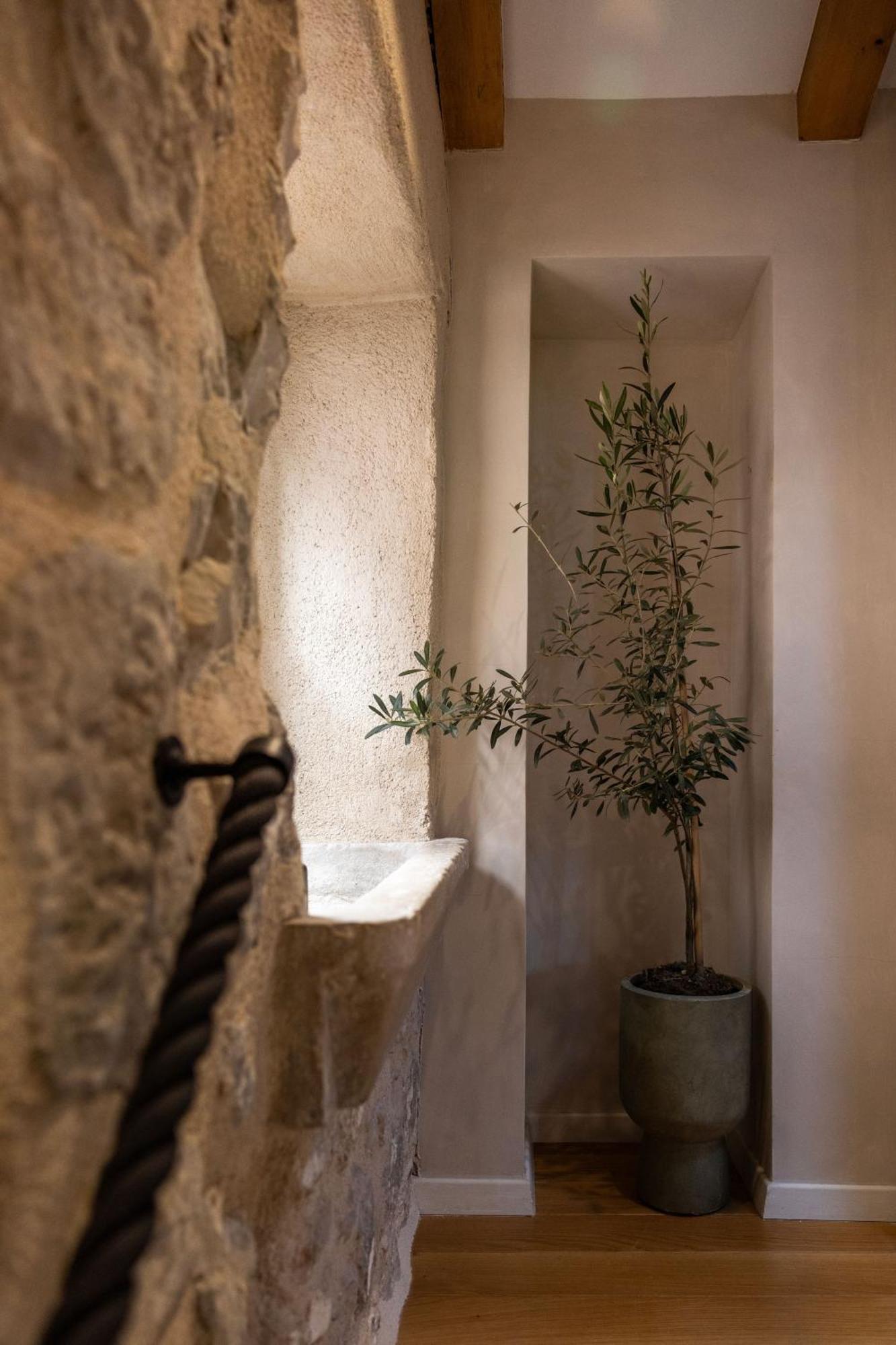 Old Town Olive Luxury Room For 3 ドゥブロブニク エクステリア 写真